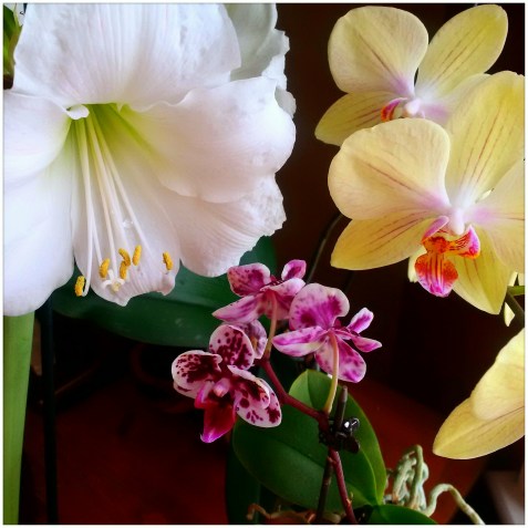 img_20170124_121825_edit